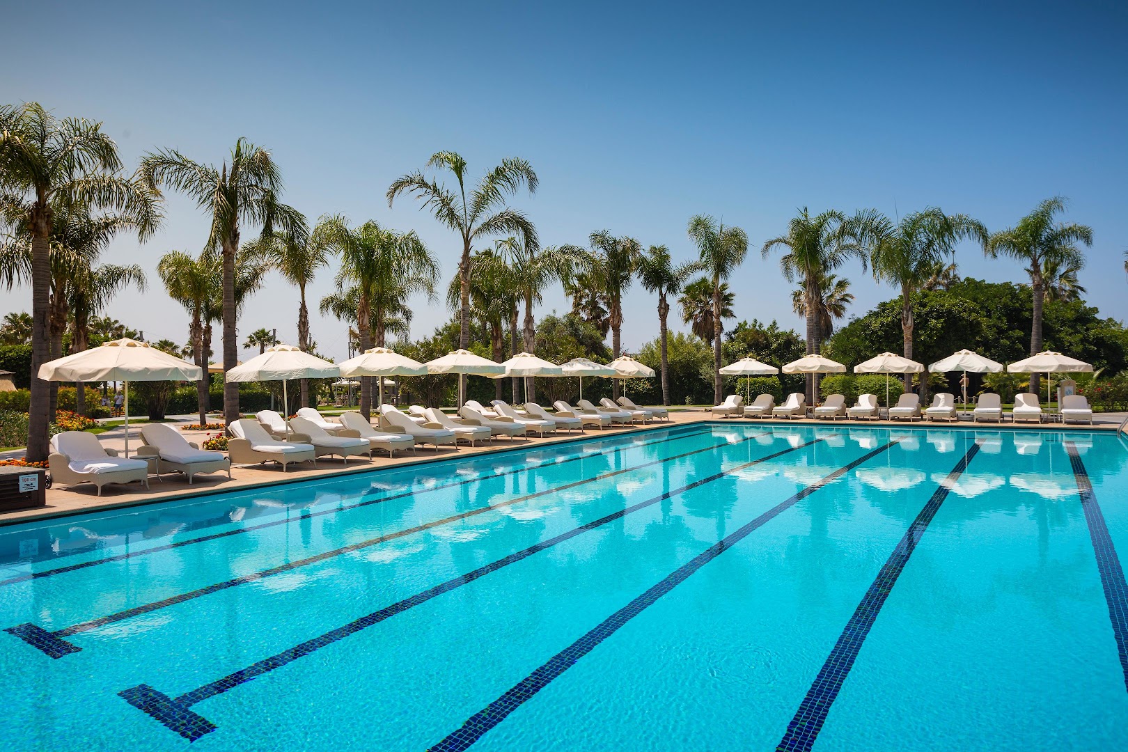 Calista Luxury Resort lielais āra peldbaseins Belekā ar saulessargiem, atpūtas krēsliem un palmām — plaša atpūtas zona saulainā dienā