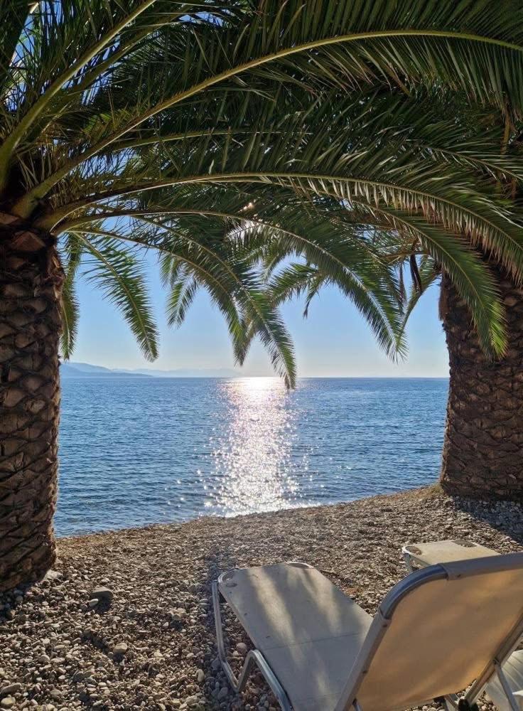 Long Beach Resort pludmales skats caur palmu lapām — sauļošanās krēsls uz oļu klājuma pie dzidri zilās jūras saulrietā