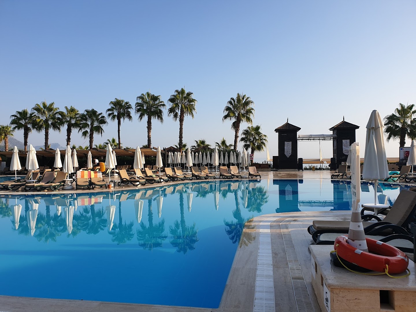 Crystal Flora Beach Resort baseina zona ar palmām un sauļošanās krēsliem dienas laikā — skats uz atpūtas zonu pie jūras