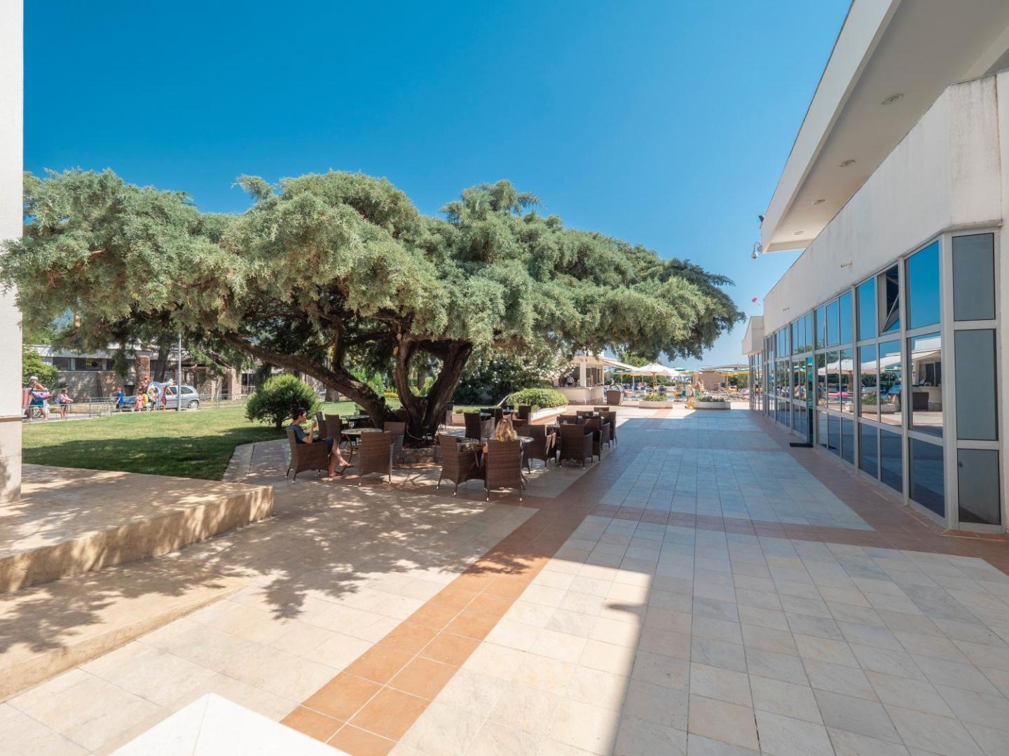 Montenegro Beach Resort āra terase ar galdiņiem liela koka pavēnī pie viesnīcas ēkas — mājīga vieta atpūtai dienas laikā