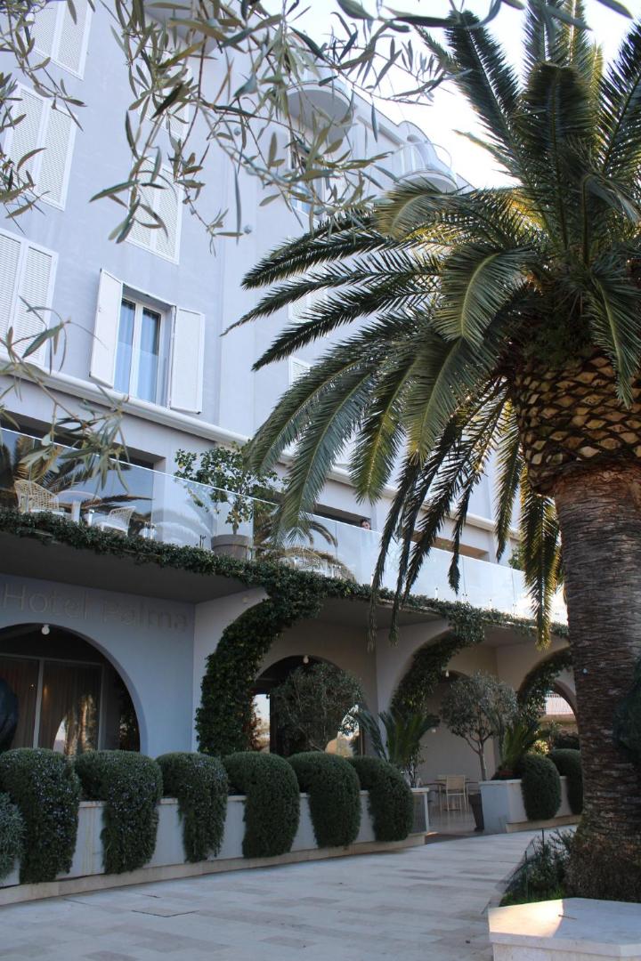 Hotel Palma ieeja un labiekārtota teritorija ar palmām un dekoratīviem krūmiem — skats uz balkoniem un viesnīcas nosaukumu