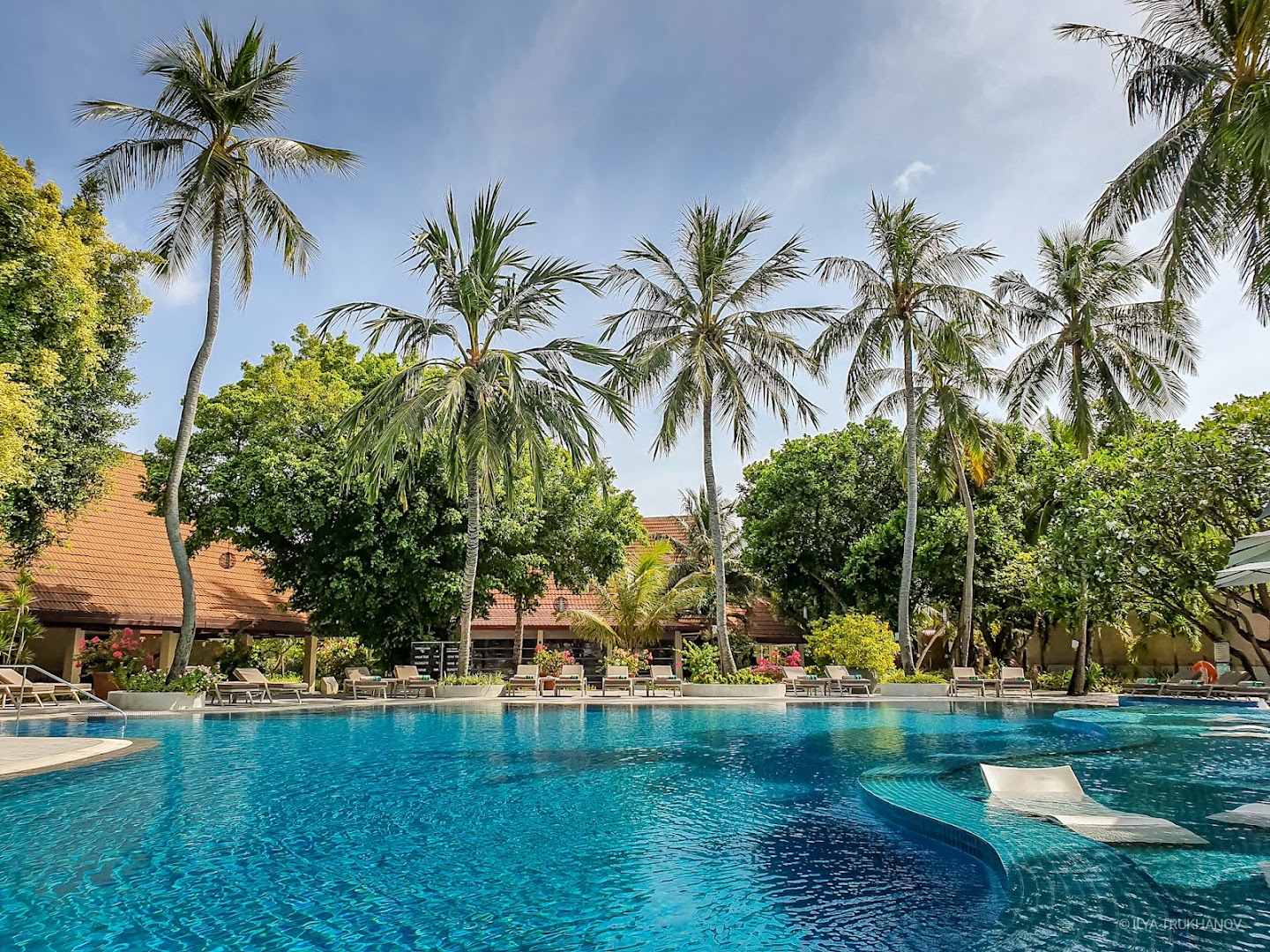 Niva Kurumba Maldives lielais āra baseins, ko ieskauj augstas palmas un zaļojoši koki zem skaidrām debesīm.