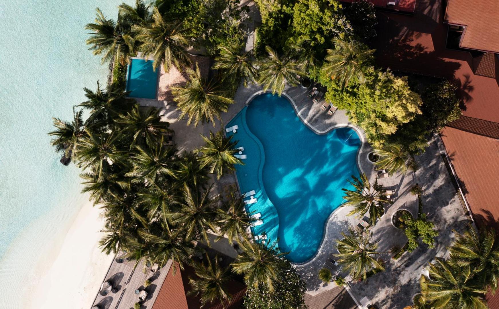 Niva Kurumba Maldives viesnīcas galvenais baseins no augšas, ko ieskauj tropu zaļumi, palmas un atpūtas krēsli saulainā dienā