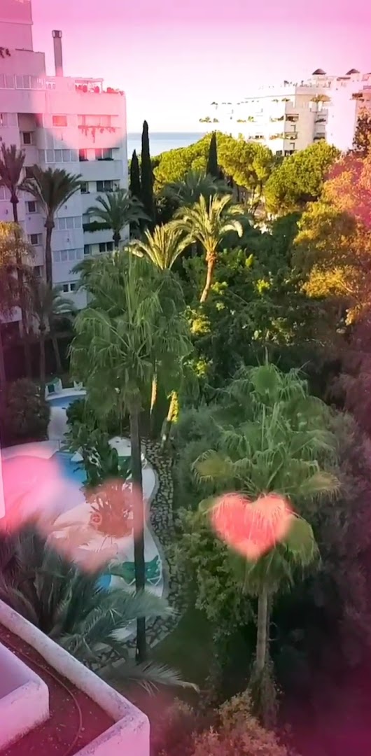 Skats no Aparthotel Monarque Sultan numura balkona uz palmu dārzu un kūrorta teritoriju saulrietā