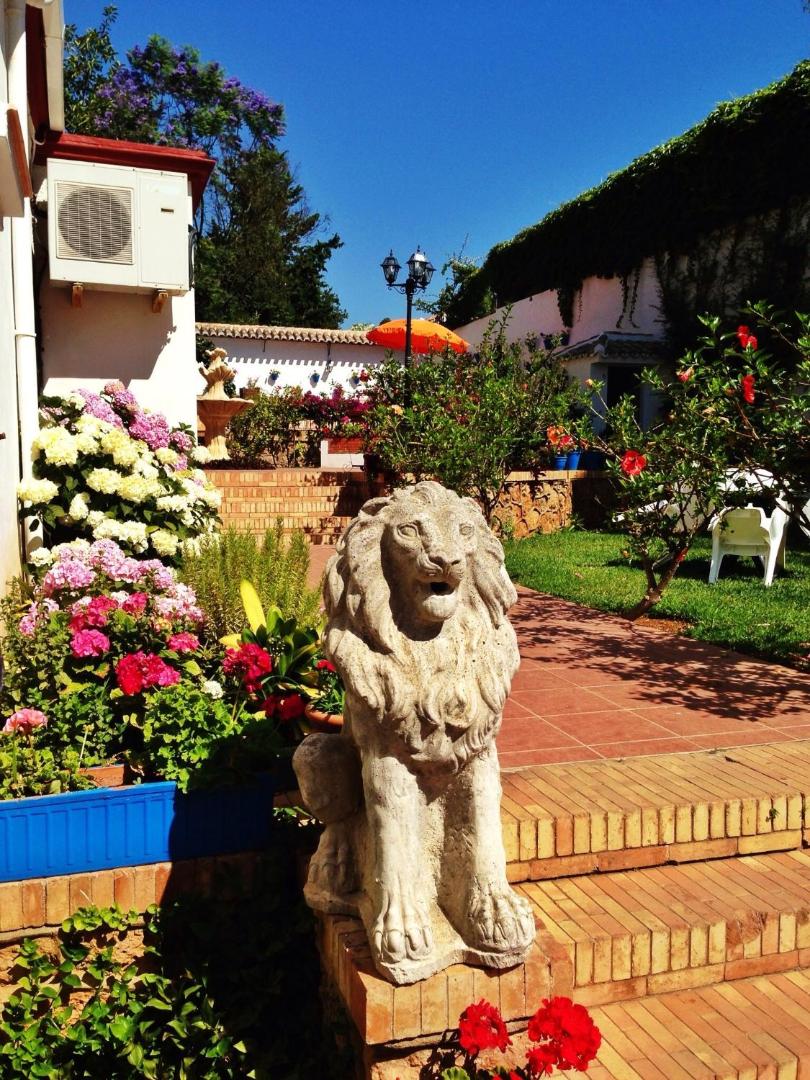 Hotel Carmen Teresa dārza dekorācija — lauvas skulptūra pie kāpnēm, ko ieskauj ziedošas hortenzijas un zaļumi