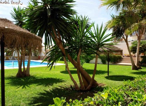 Hotel Tarik dārzs ar koptu zālienu, palmām un eksotiskiem augiem, fonā redzams baseins un saulessargi