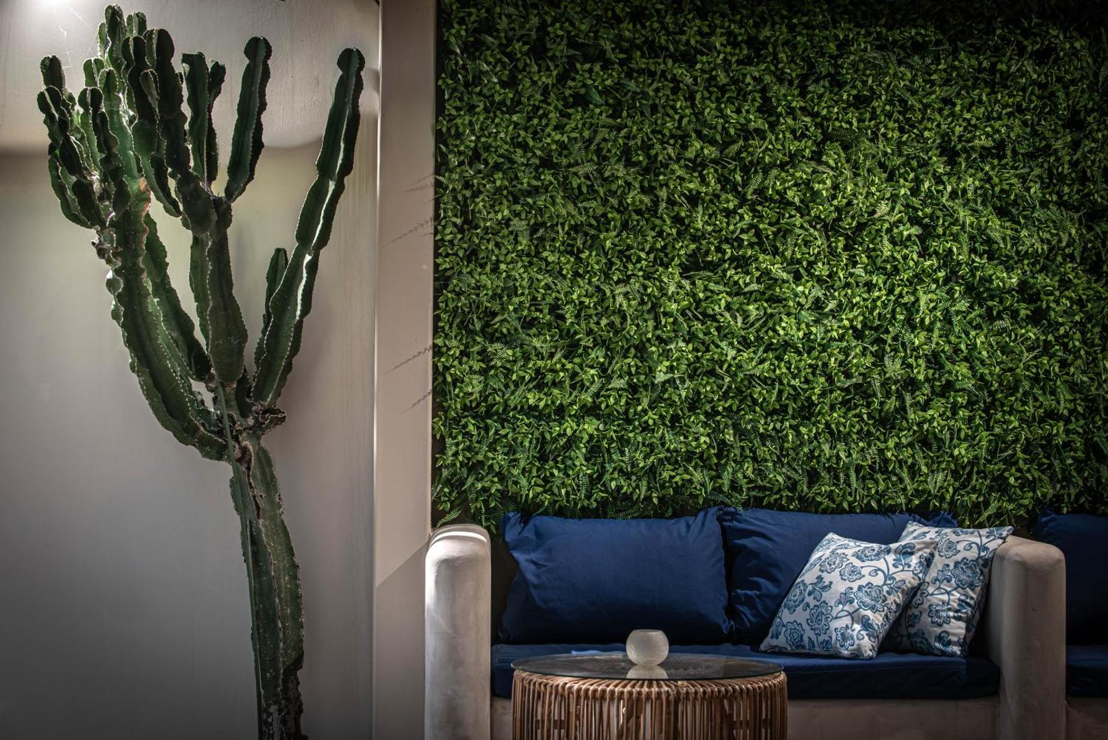 Serenity Spritz Boutique Hotel atpūtas stūrītis ar zaļo sienu, lielu kaktusu un ērtu dīvānu ar spilveniem