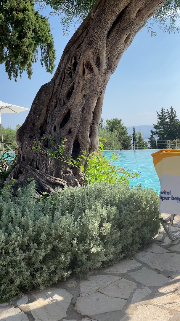 Aeolos Beach Resort baseins ar pārplūdes malu, ko ieskauj seni olīvkoki un Vidusjūras reģiona augi Korfu piekrastē