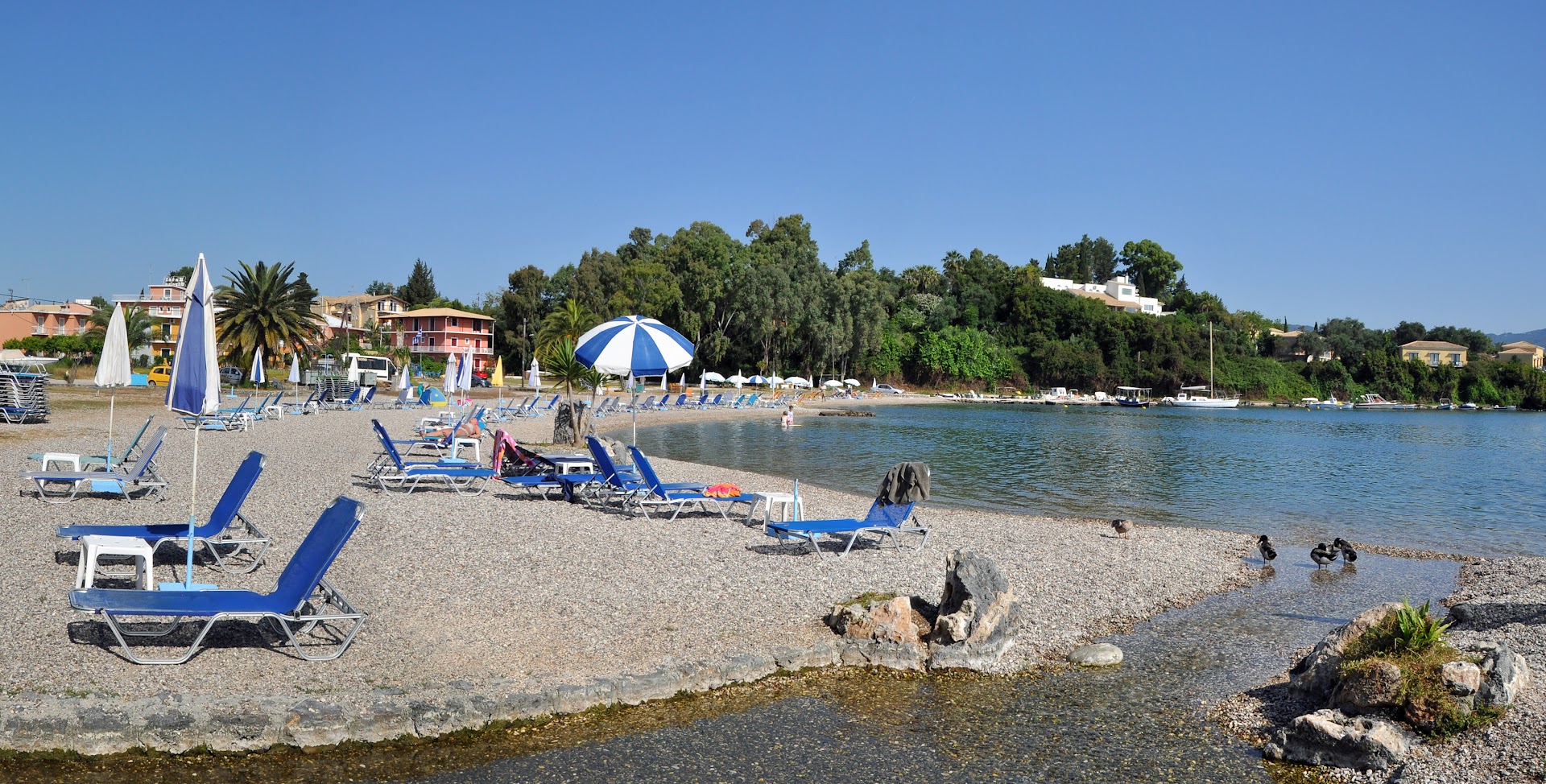 Paradise Corfu piekrastes zona ar oļu pludmali, sauļošanās krēsliem un skatu uz ciematu un zaļajiem pakalniem Korfu salā