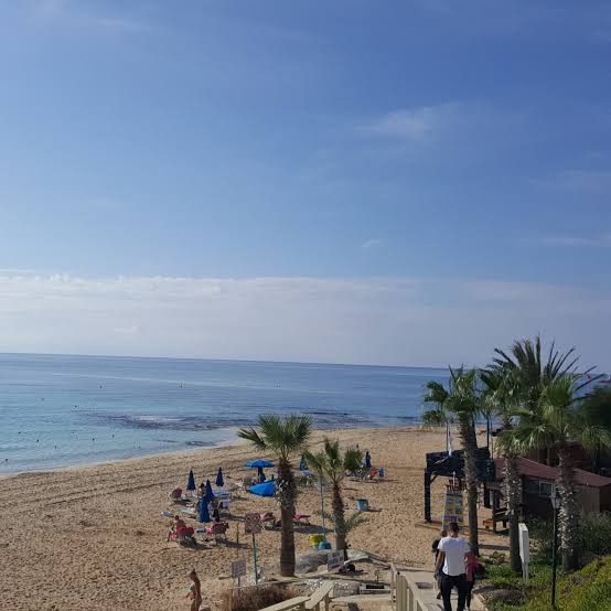 Napa Mermaid Hotel skats uz smilšu pludmali un Vidusjūru Ajanapā — palmas, saulessargi un zilas debesis