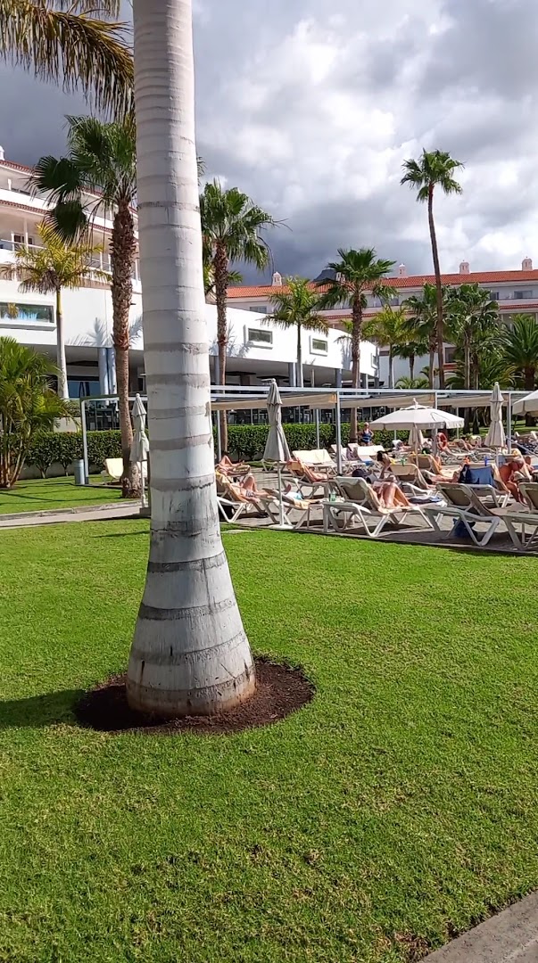 Riu Arecas Hotel sauļošanās zona ar zālāju un palmām — atpūtas krēsli un saulessargi viesnīcas dārzā zem skaidrām debesīm