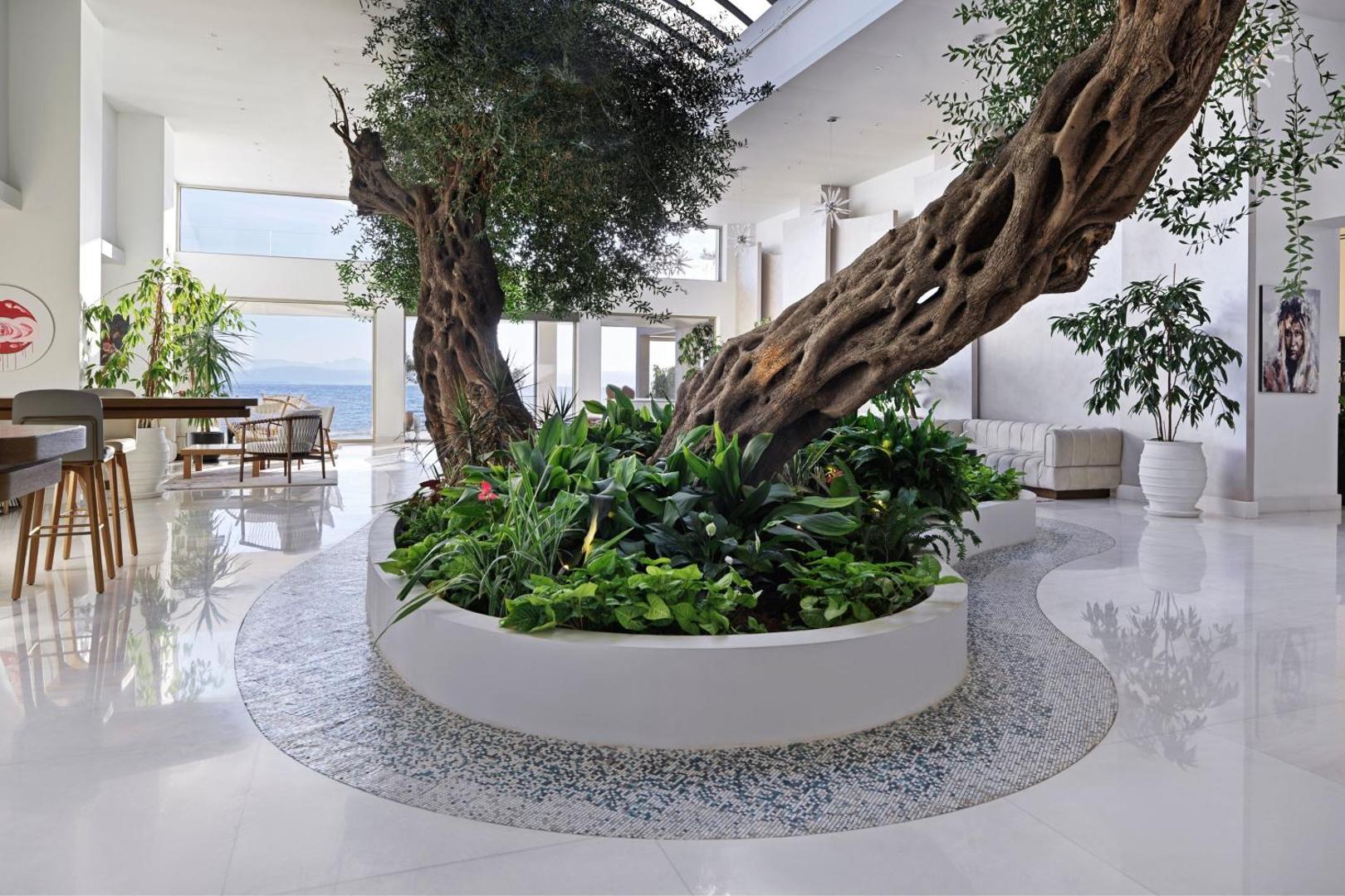Domes Miramare Resort iekštelpu dārzs ar seniem olīvkokiem un modernu dizainu — gaiša atpūtas telpa ar augstiem griestiem