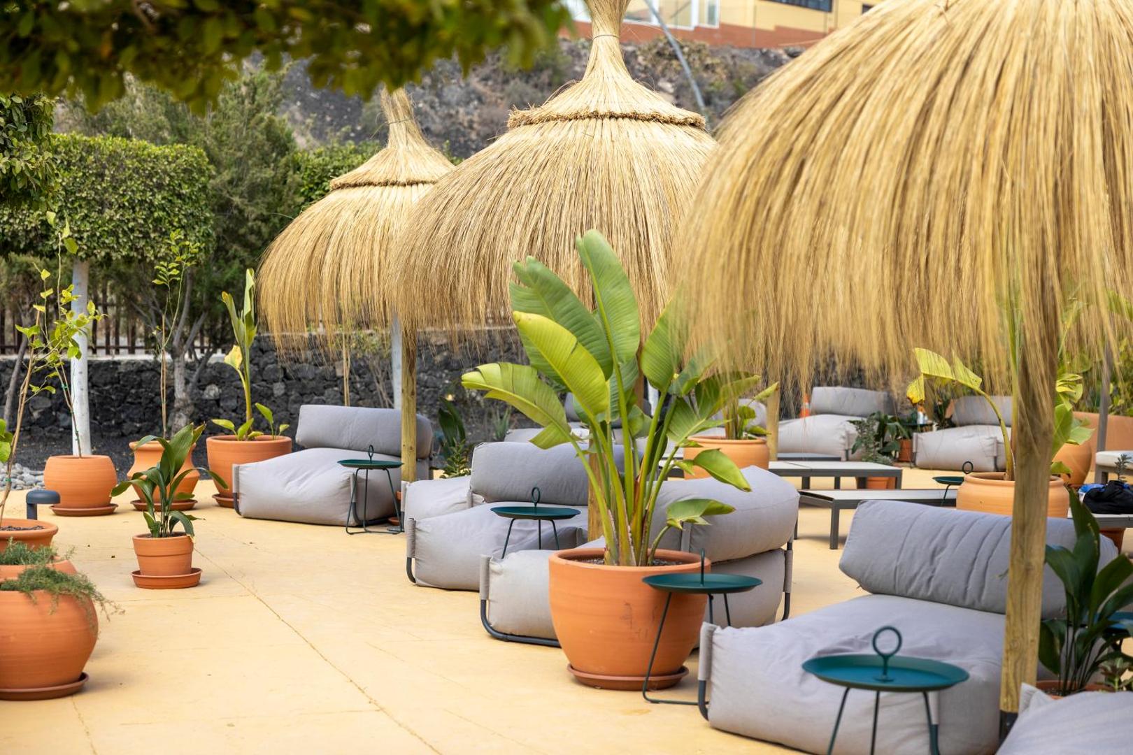 Barceló Tenerife Royal Level atpūtas zona ar mīkstiem sēžammaisiem, salmu saulessargiem un eksotiskiem augiem podos