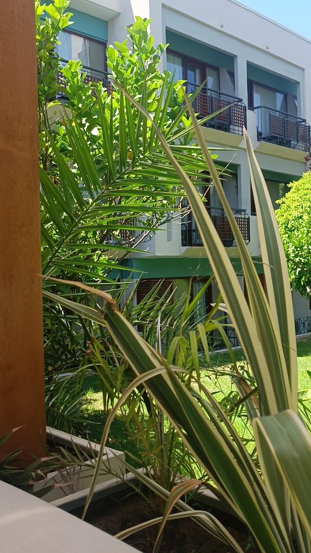 Skats uz May Beach Hotel numuru balkoniem caur eksotiskiem augiem un palmām dārzā Retimno, Krētā