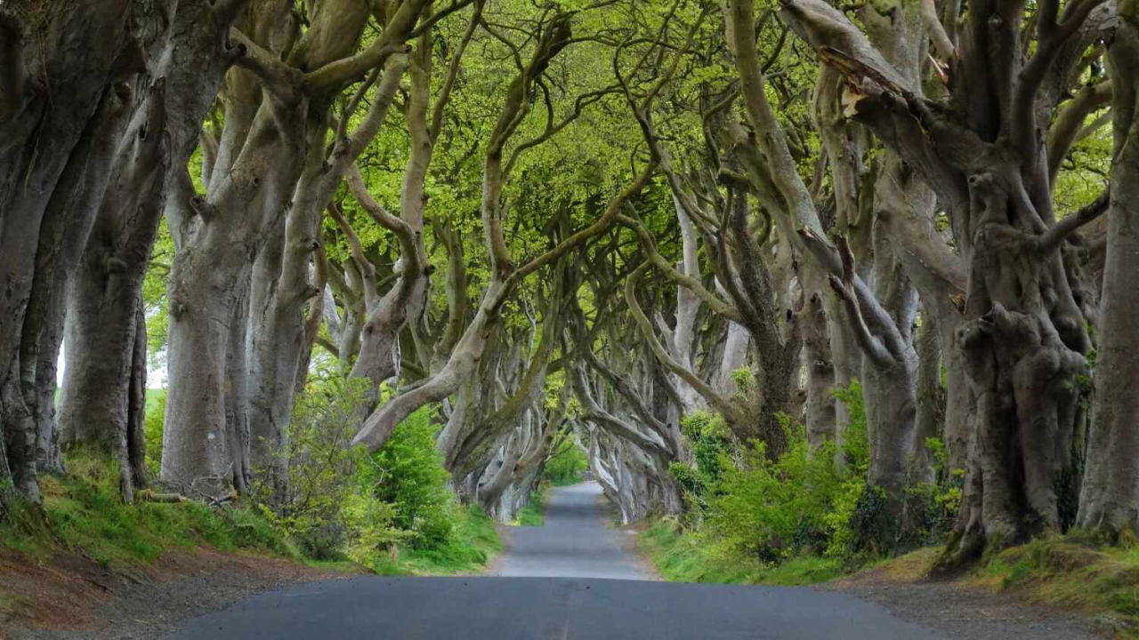 Līgo brīvdienas Smaragda salā - Ziemeļīrijā