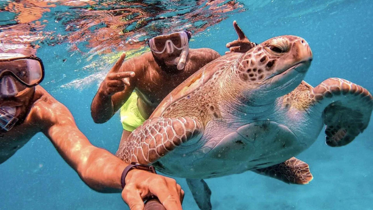 Kaboverde novembra valsts svētku brīvdienās