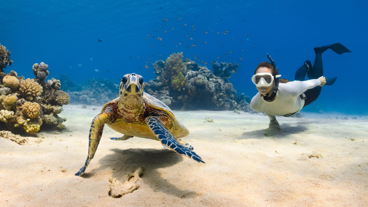 Kaboverde novembra valsts svētku brīvdienās