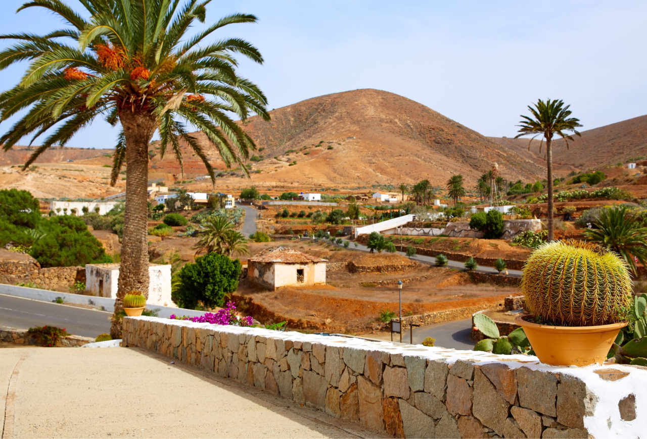Kruīzs no Santa Cruz de Tenerife: Kanāriju salas un Madeira vienā ceļojumā