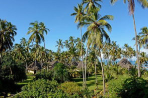 Foto: Ocean Paradise Resort & Spa