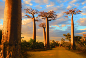 Madagaskara
