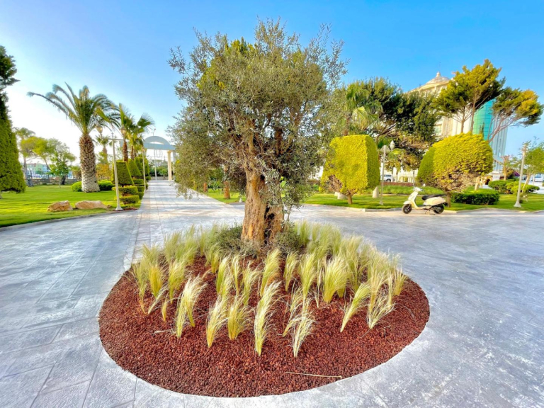 LAUR HOTELS Experience & Elegance