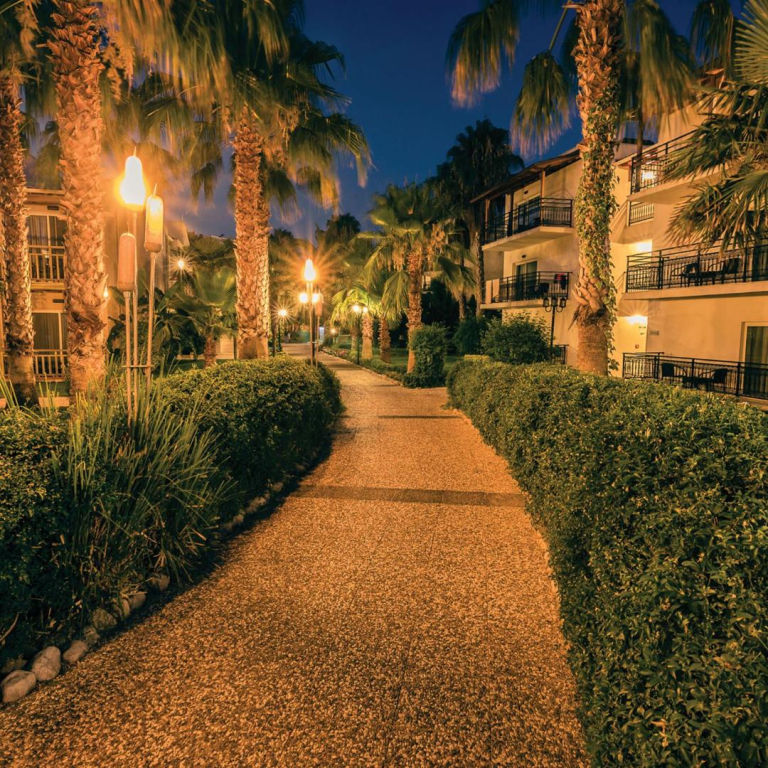 Paloma Oceana