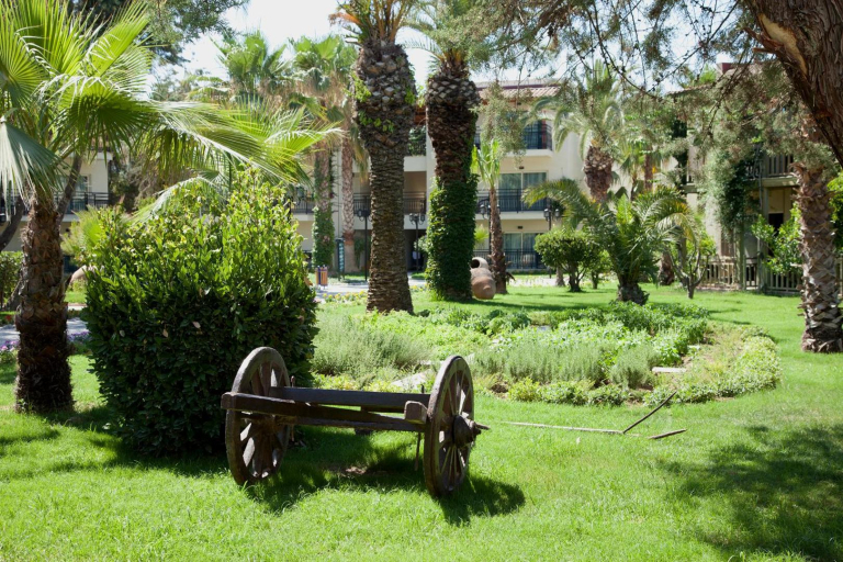 Paloma Oceana