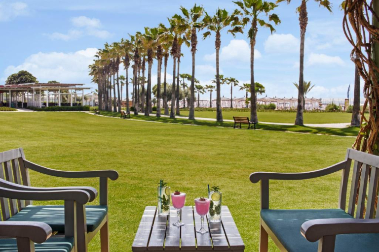 Lara Barut Collection