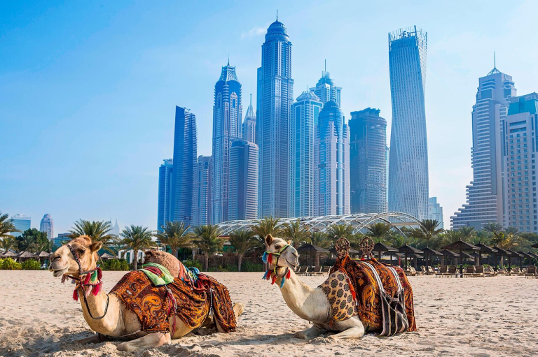 Habtoor Grand Resort, Autograph Collection 5*