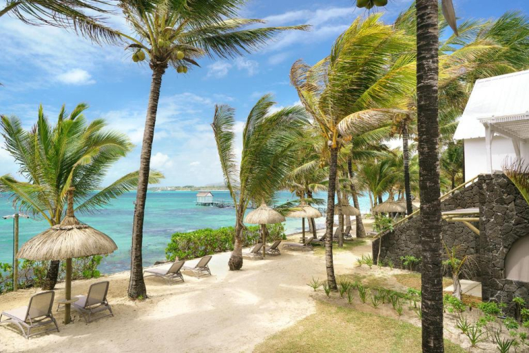 Tropical Attitude 