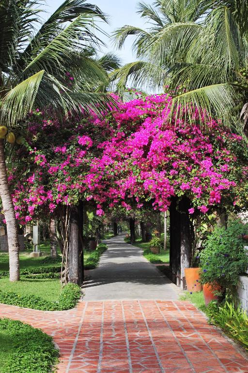 Saigon Mui Ne Resort