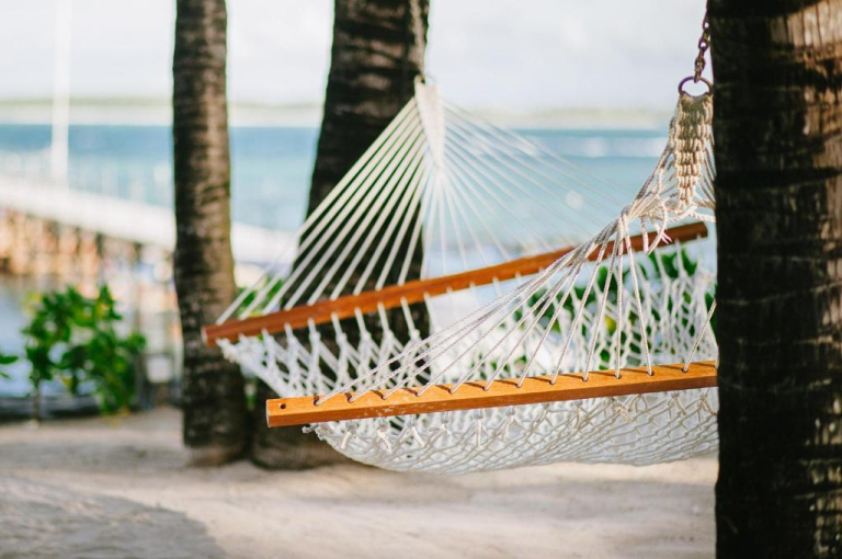 Tropical Attitude 