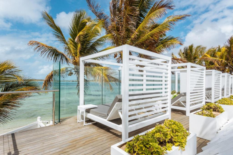Tropical Attitude 