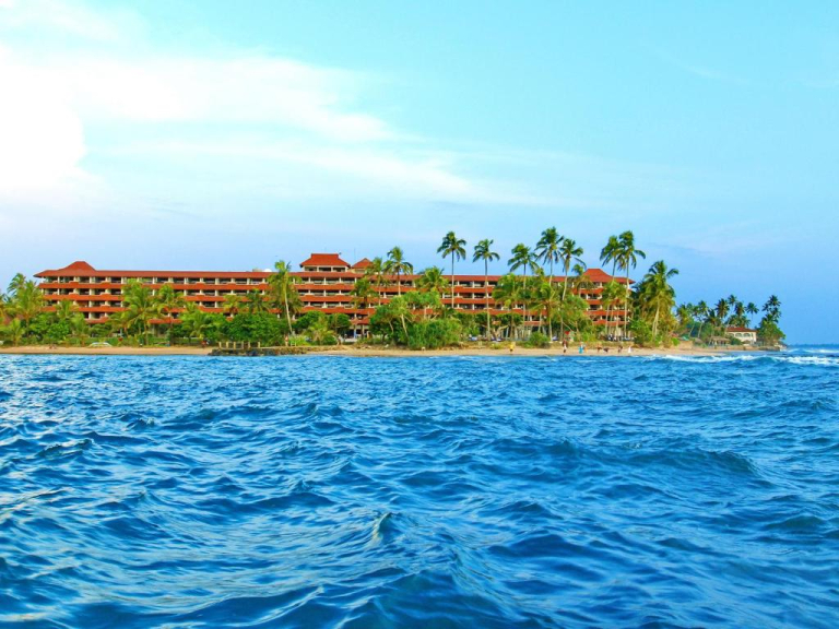 Hikka Tranz by Cinnamon