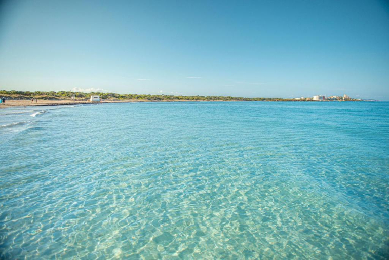 Blau Colonia Sant Jordi Resort & SPA