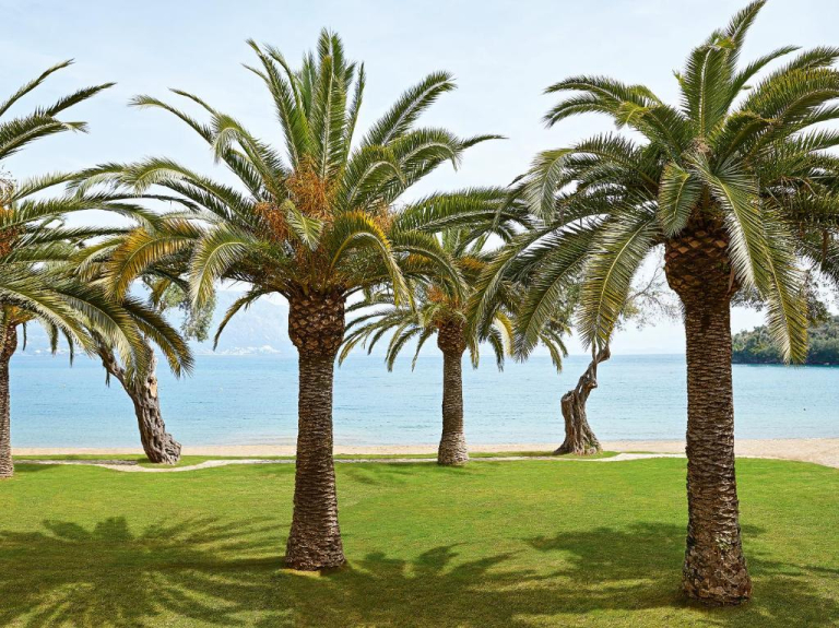 Grecotel Lux.me Daphnila Bay Dassia