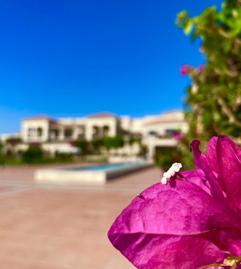 Jaz Mirabel Beach 5*