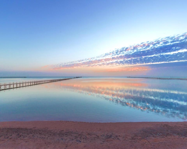 Pickalbatros Royal Albatros Moderna