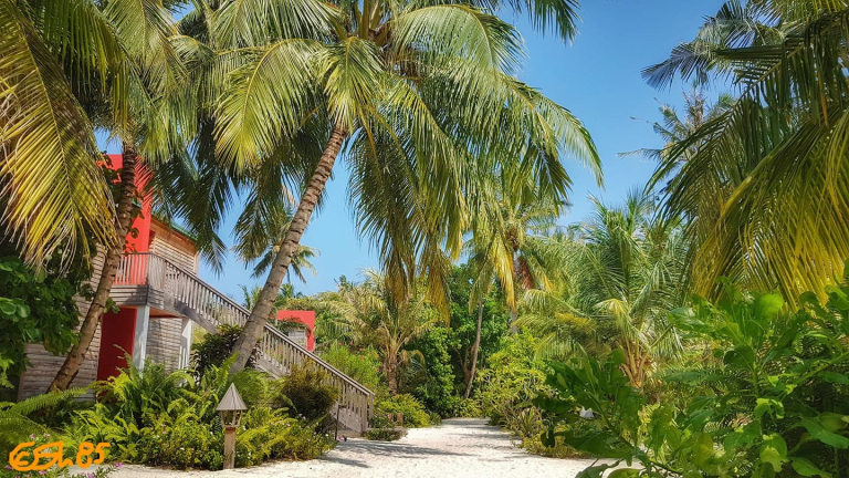 The Barefoot Eco Hotel