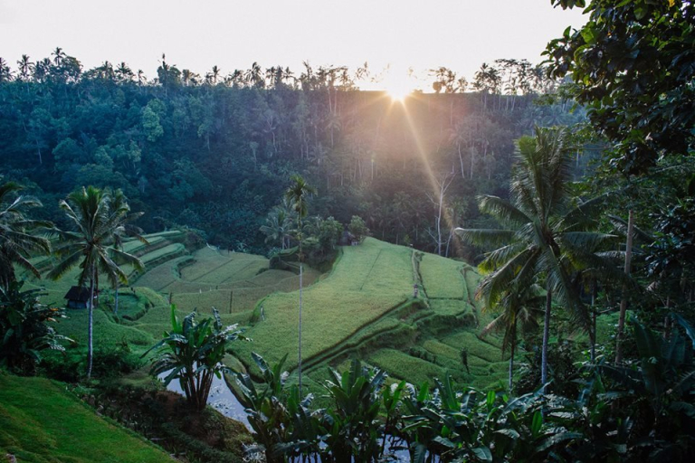 Bali Tropic Resort & Spa