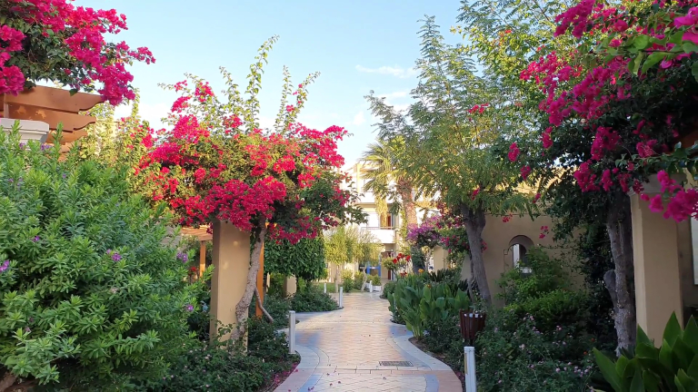 Atrium Palace Thalasso Spa Resort And Villas