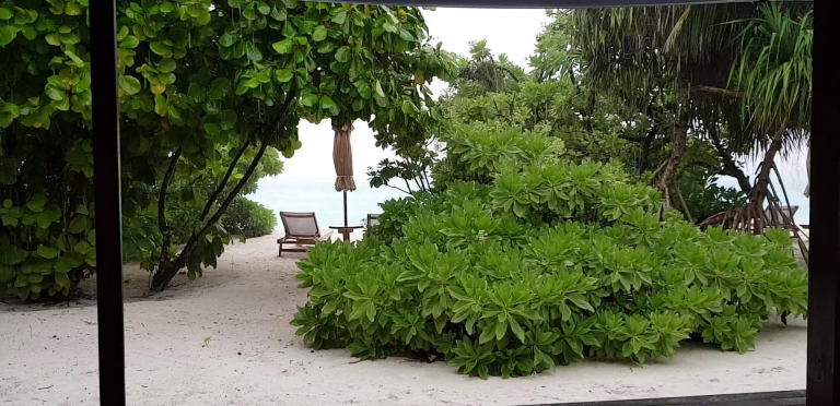 The Barefoot Eco Hotel