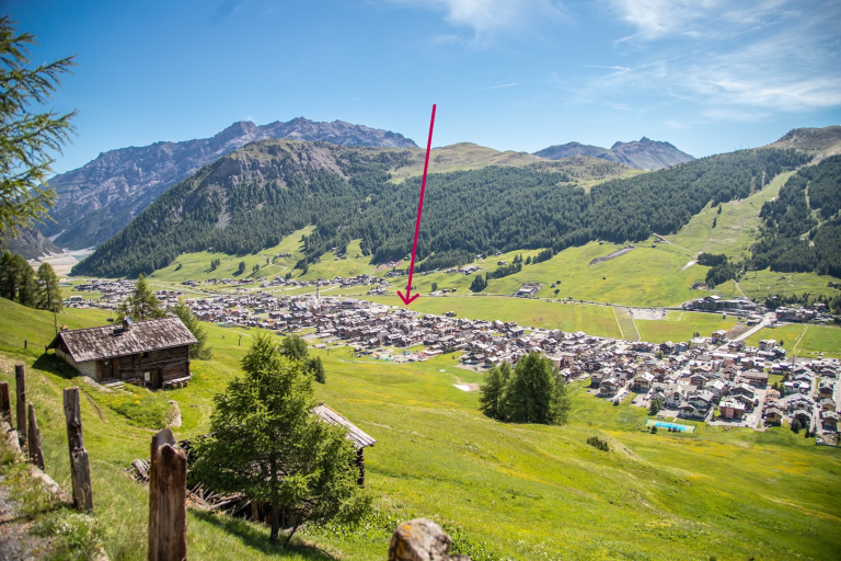 Chalet C'Est La Vie