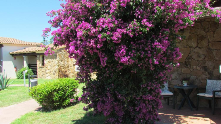 Li Suari Club VIllage