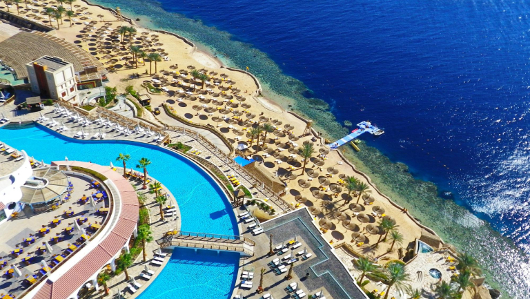 Reef Oasis Blue Bay
