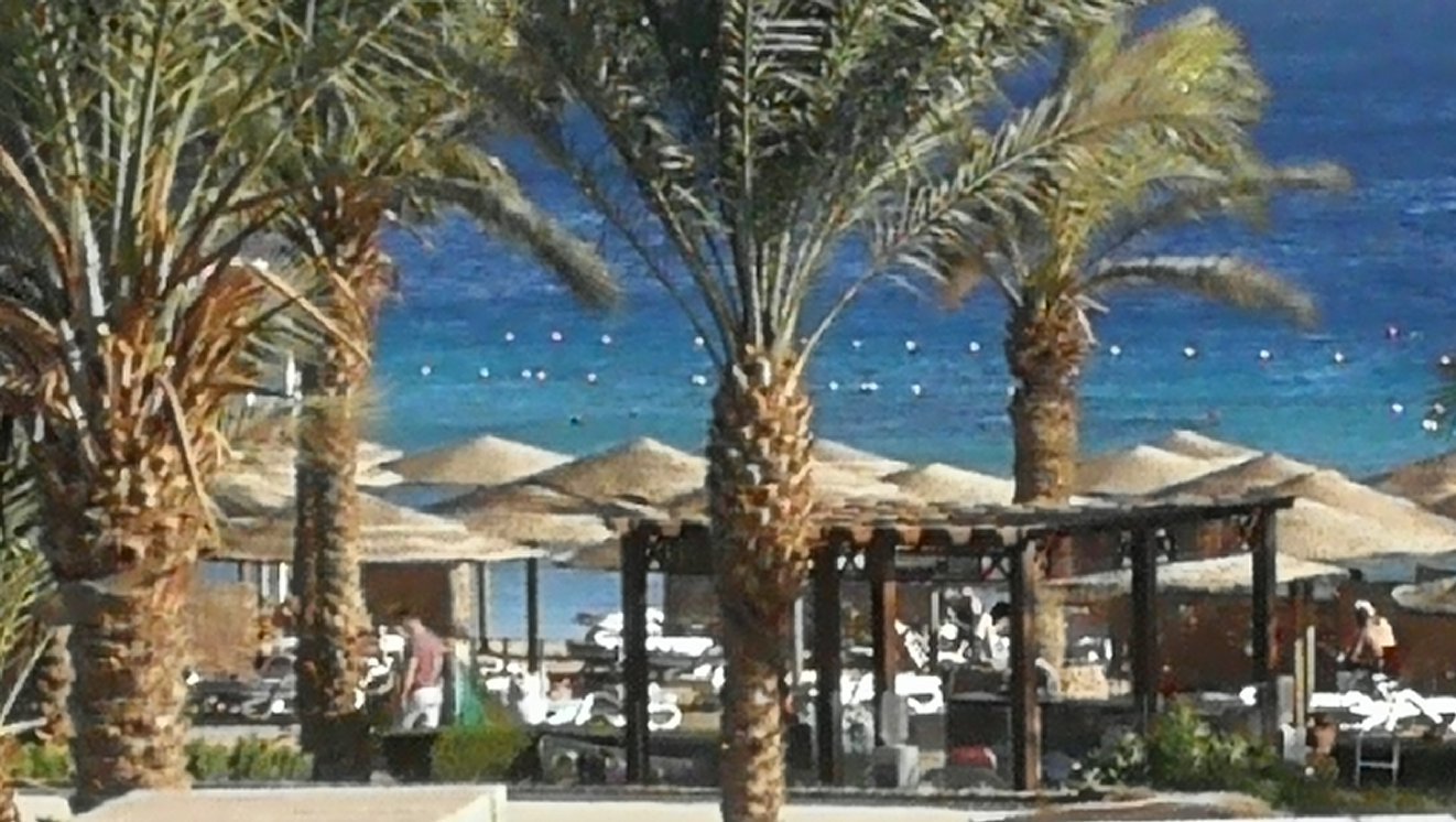 Fort Arabesque Resort, Spa & Villas pludmale ar palmu kokiem un jūru.