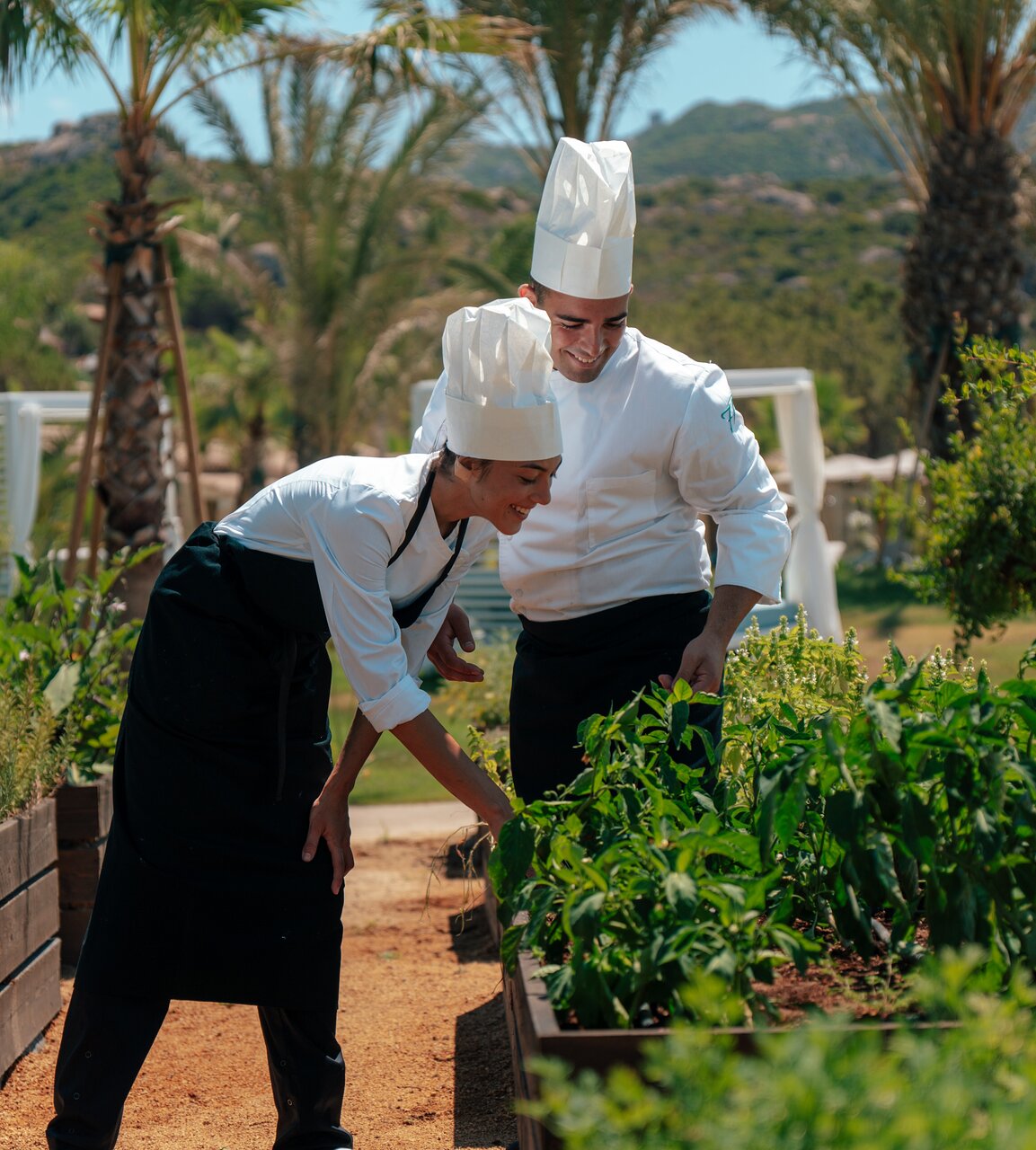 Šefpavāri 7 Pines Resort Sardinia dārzā