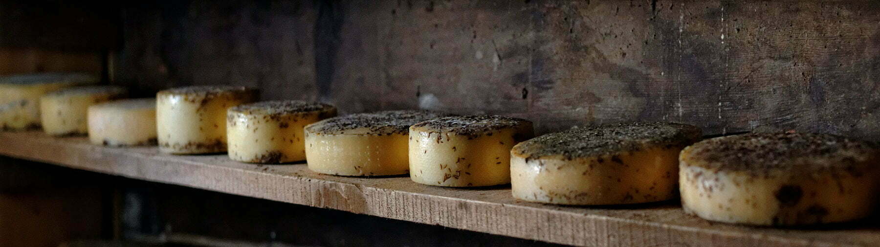 Tradicionālo sieru un jūras velšu degustācija Astūrijā Vanilla Travel ceļojumā