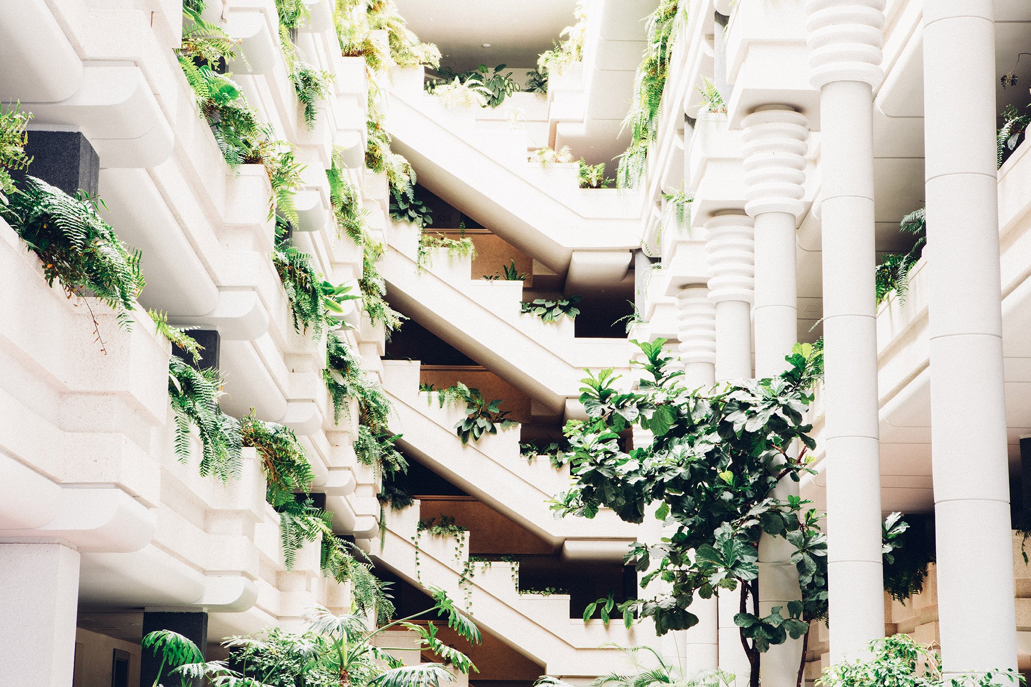 Arona Gran Hotel & Spa iekšējais zaļumu dārzs