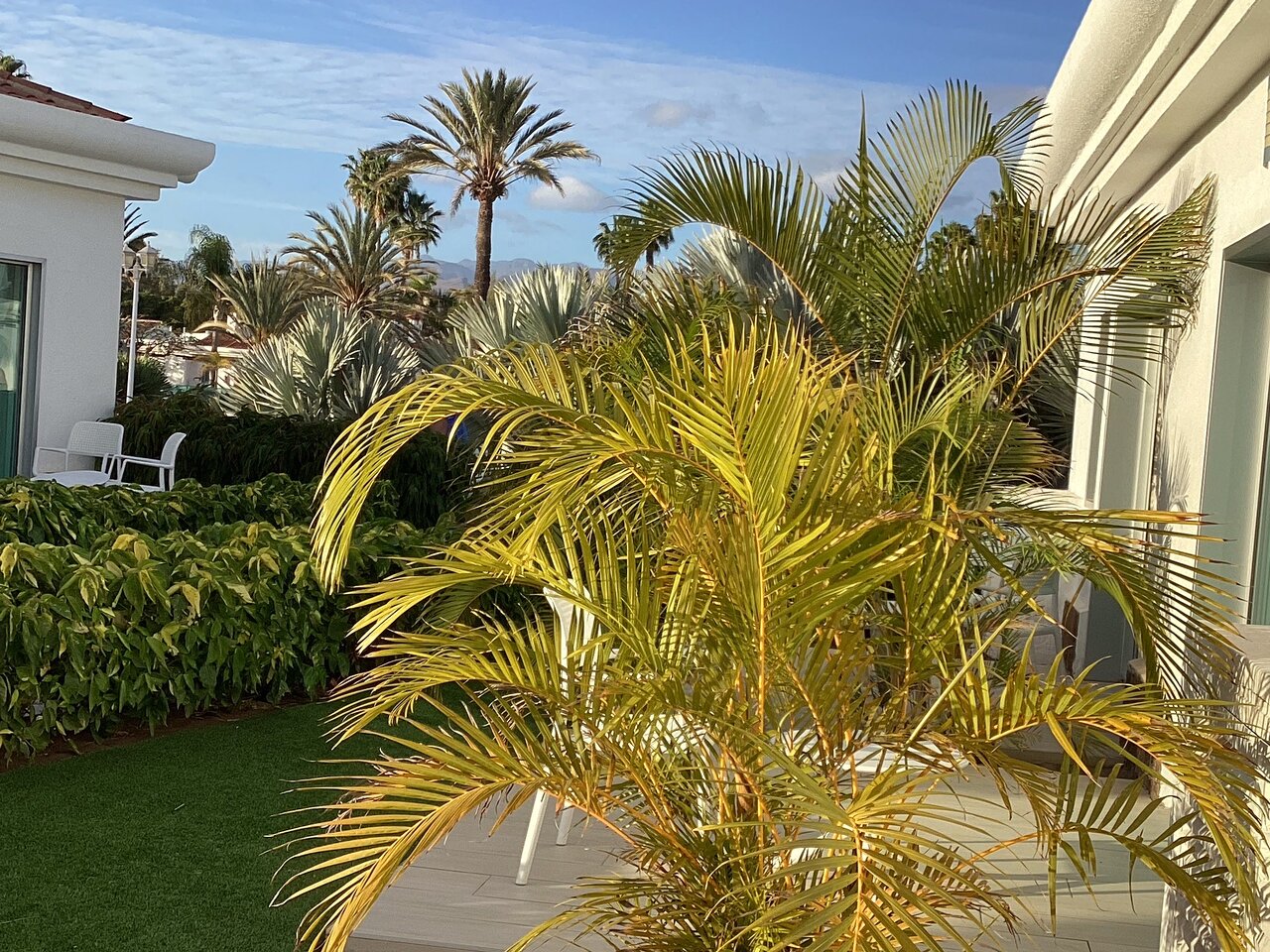 Tropiskā ainava ar palmām un zaļām augiem, kas rotā terasi. Gaisma un debesis rada mierīgu un relaksējošu atmosfēru. panoramic view with beach and pools